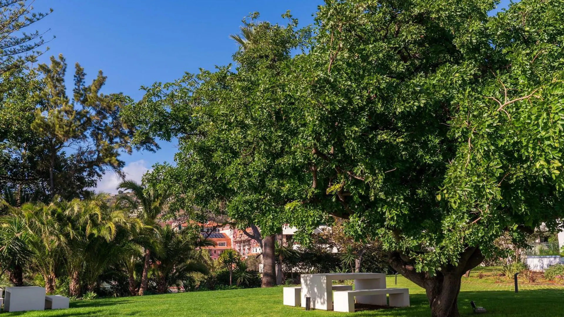 Acqua Residence VIII Sea View And Pool Funchal  Portugal